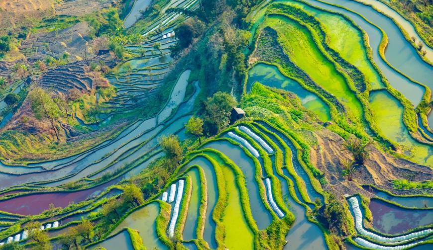 走进阳新县TVC拍摄：解锁本地化场景与创意镜头的完美融合